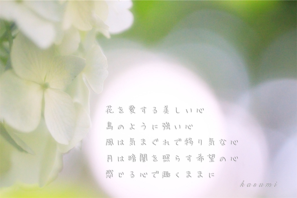 f:id:hanakasumi:20190723084025j:image