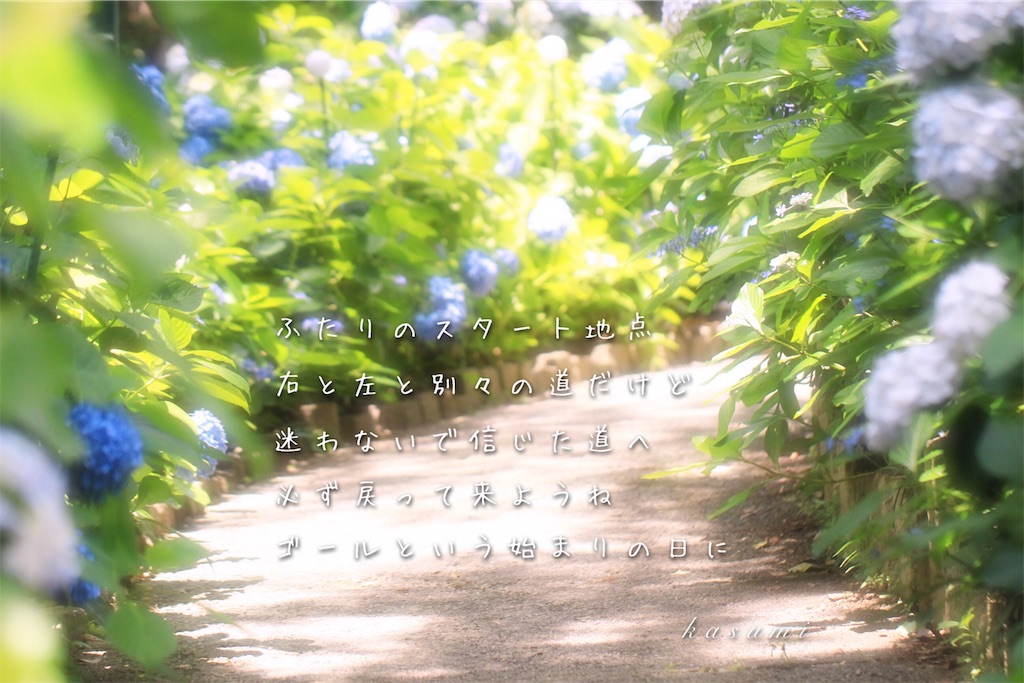 f:id:hanakasumi:20190723084846j:image