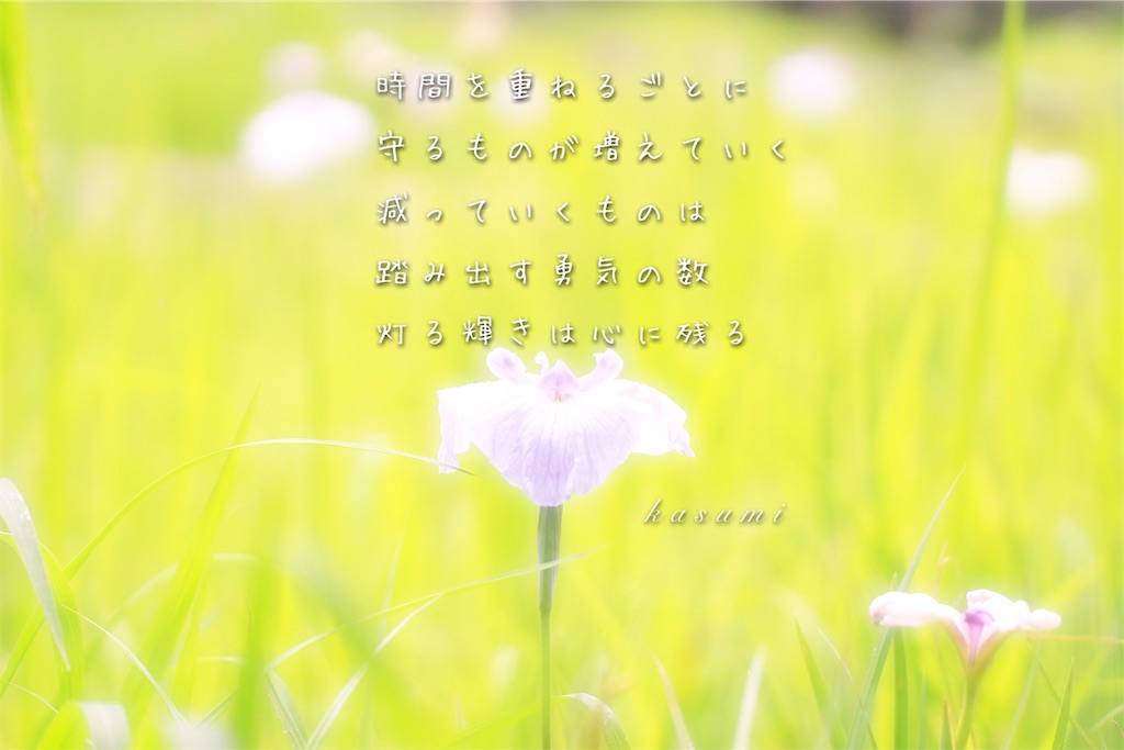 f:id:hanakasumi:20190723090013j:image