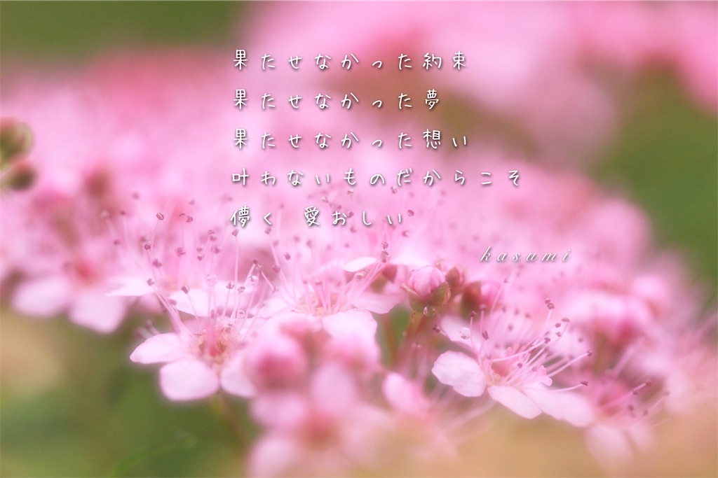 f:id:hanakasumi:20190723090656j:image