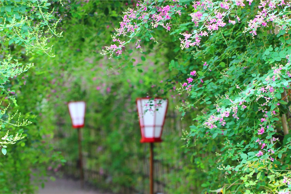 f:id:hanakasumi:20190924163147j:image