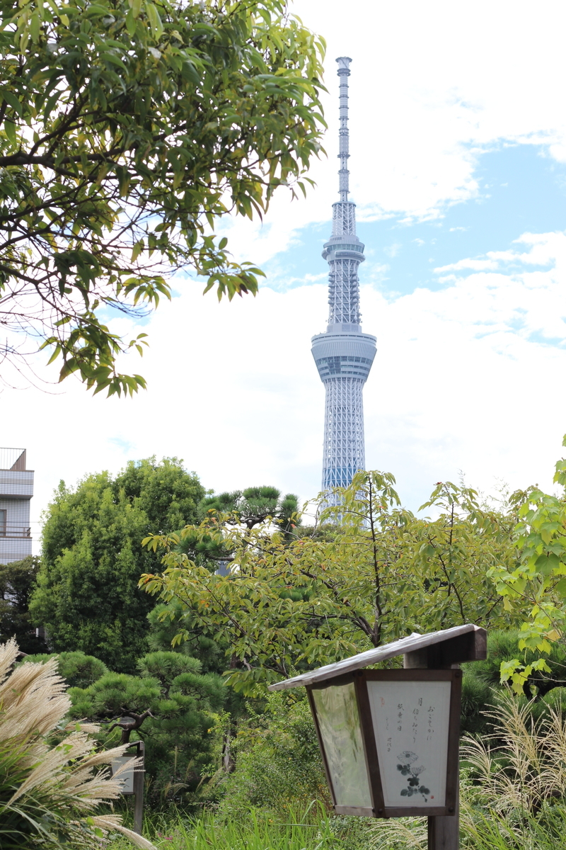 f:id:hanakasumi:20190928151548j:plain