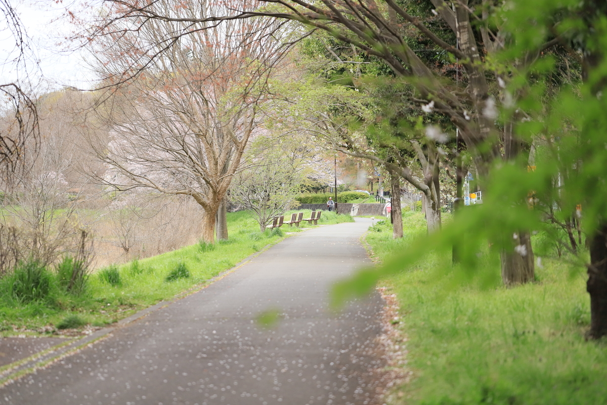 f:id:hanakasumi:20200403164325j:plain