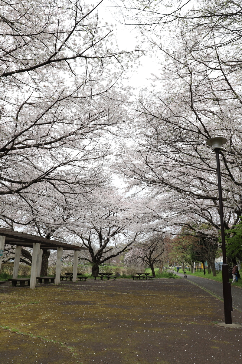 f:id:hanakasumi:20200403164643j:plain