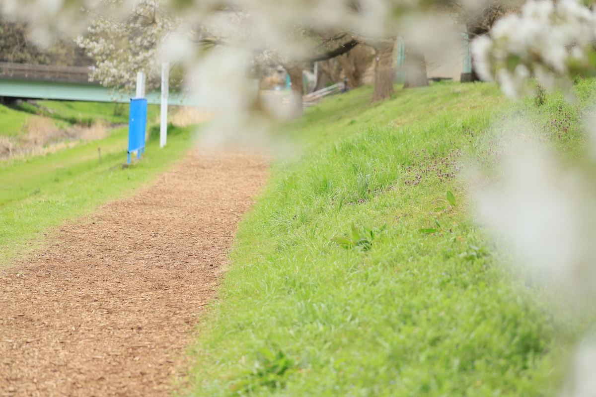 f:id:hanakasumi:20200411161610j:plain