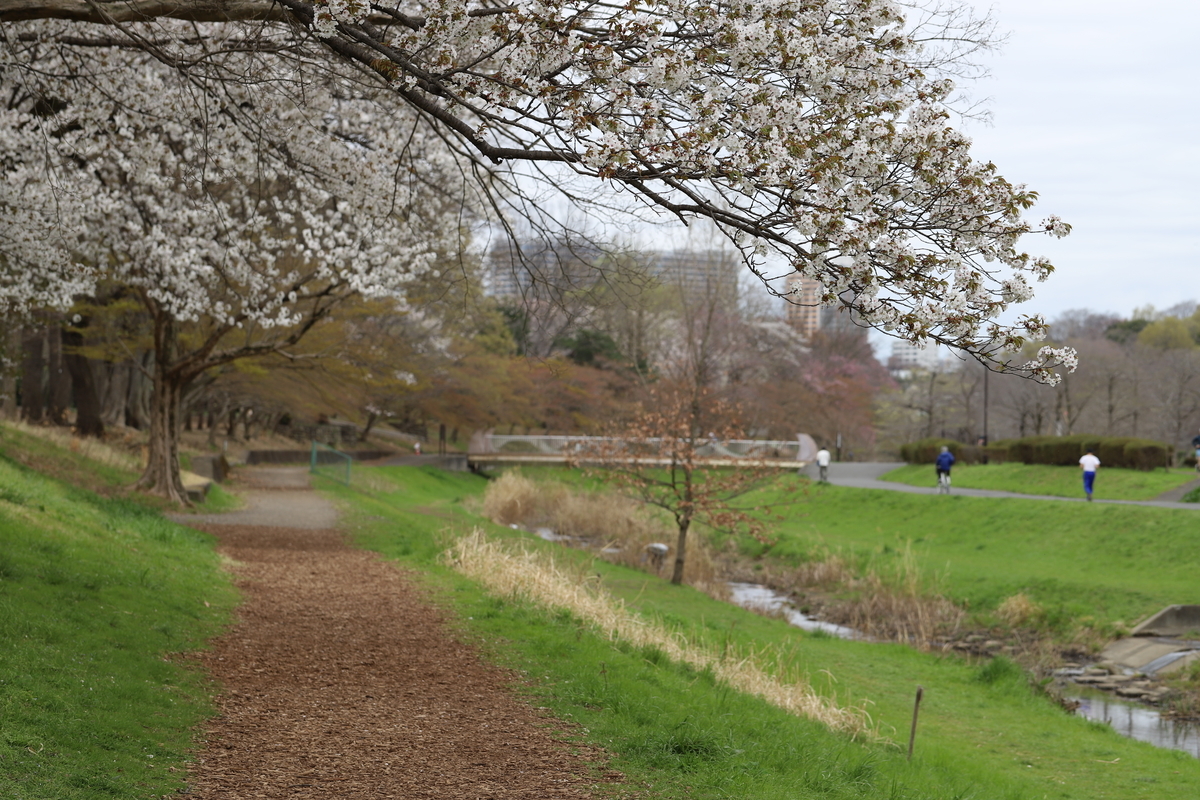 f:id:hanakasumi:20200411161847j:plain