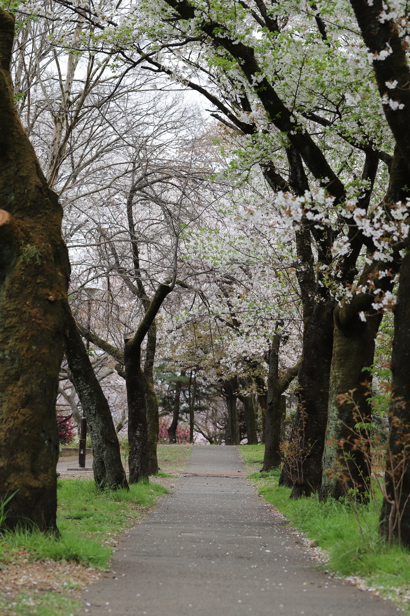 f:id:hanakasumi:20200411162029j:plain