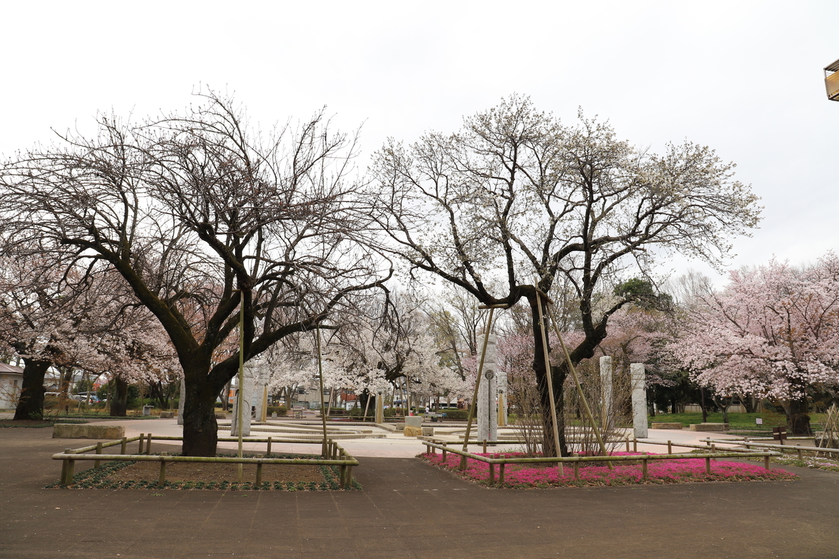 f:id:hanakasumi:20200411162131j:plain