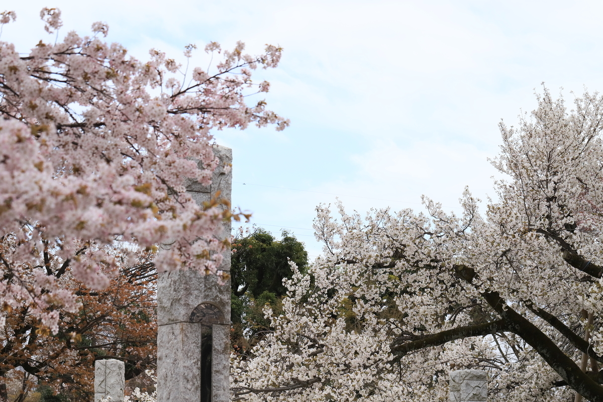 f:id:hanakasumi:20200411162308j:plain