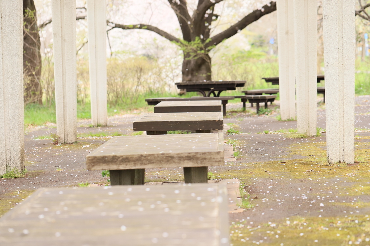 f:id:hanakasumi:20200411162805j:plain