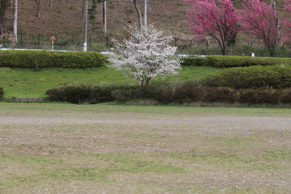 f:id:hanakasumi:20200411163050j:plain