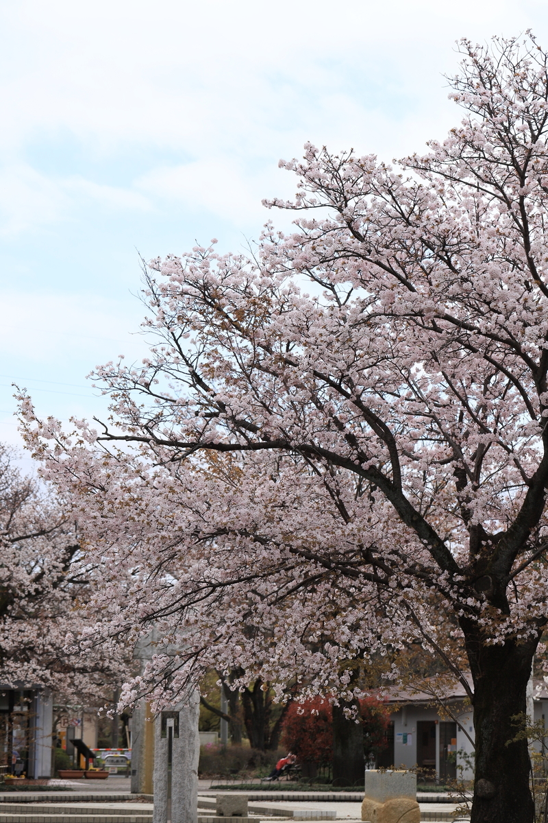 f:id:hanakasumi:20200411163206j:plain