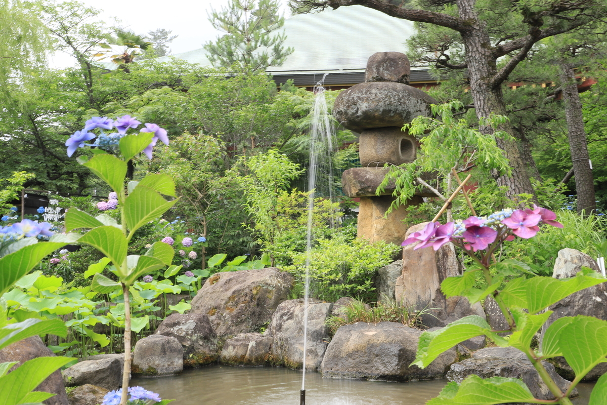 f:id:hanakasumi:20200628162028j:plain