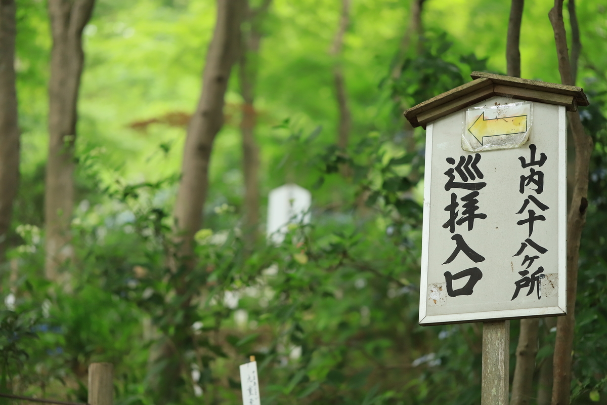 f:id:hanakasumi:20200628162626j:plain