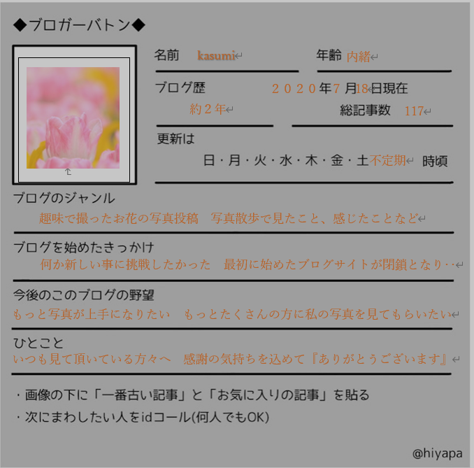 f:id:hanakasumi:20200718182441p:plain