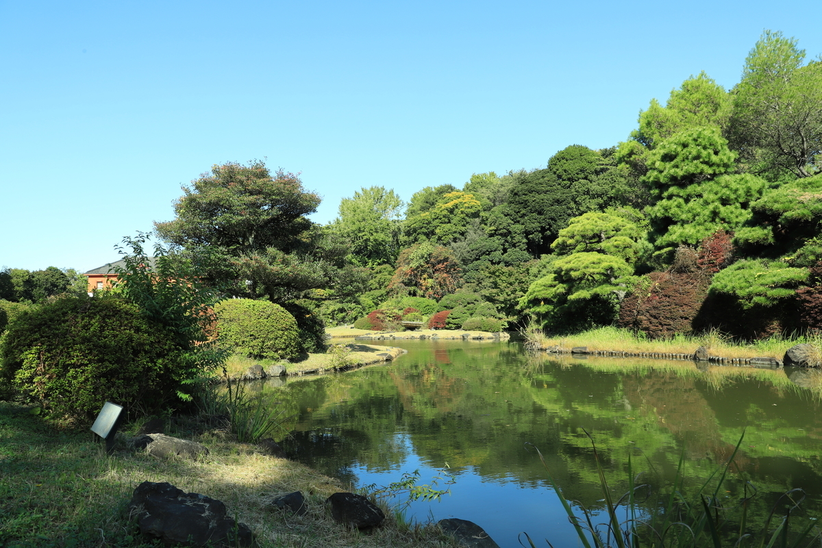 f:id:hanakasumi:20201107113559j:plain