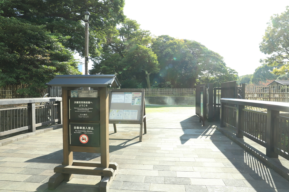 f:id:hanakasumi:20201123202920j:plain