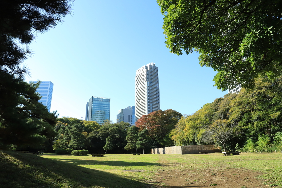 f:id:hanakasumi:20201123203151j:plain