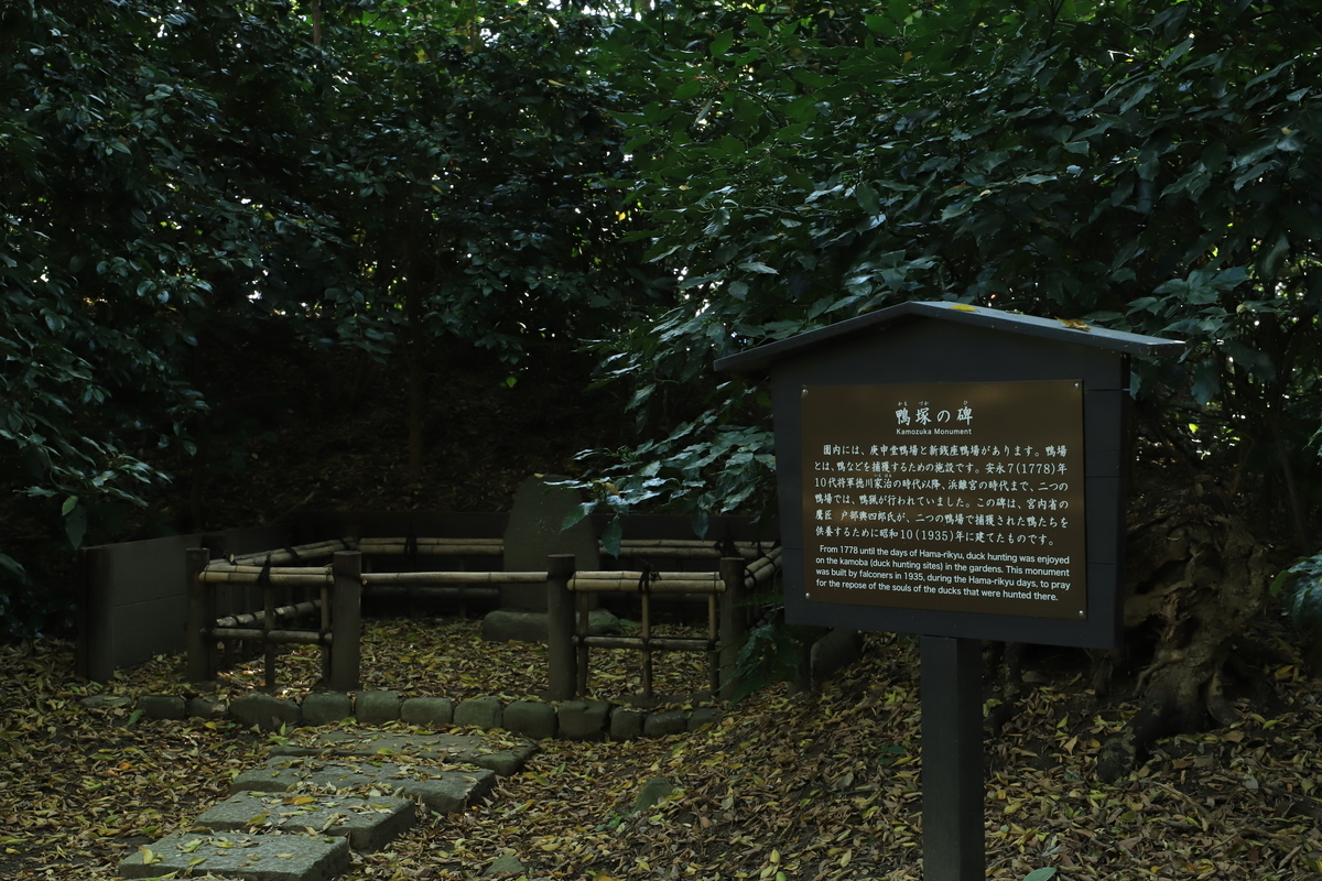 f:id:hanakasumi:20201123203224j:plain