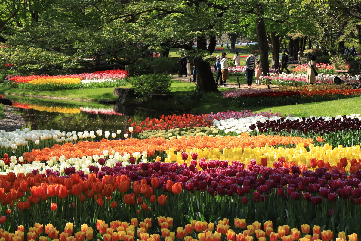 f:id:hanakasumi:20210418112254j:plain