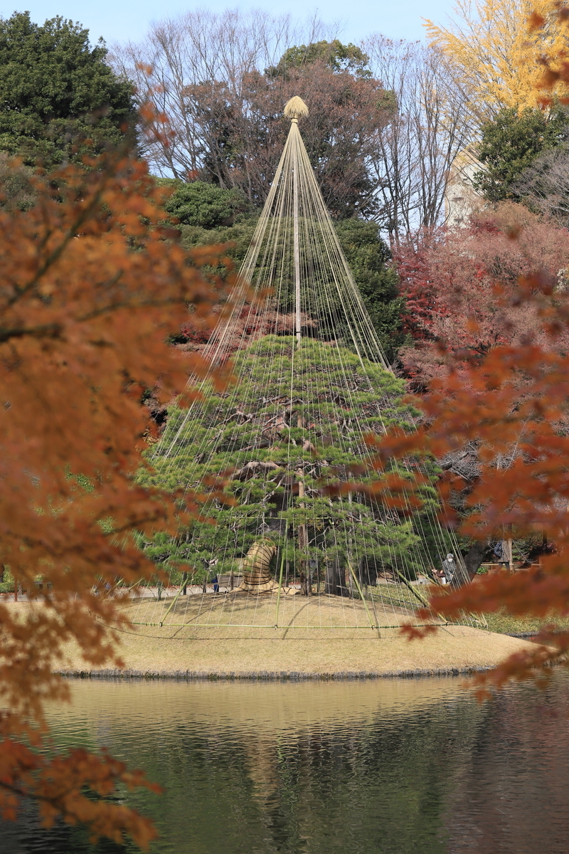 f:id:hanakasumi:20211219092418j:plain