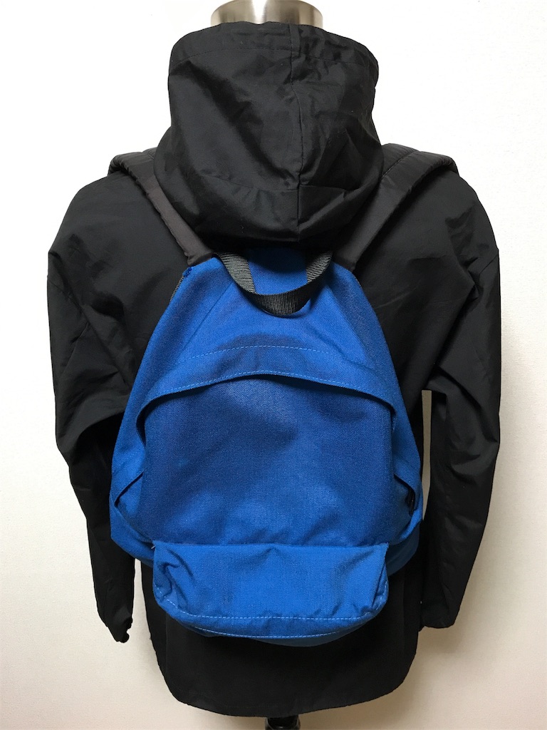 f:id:hanakichi116:20180922021447j:image