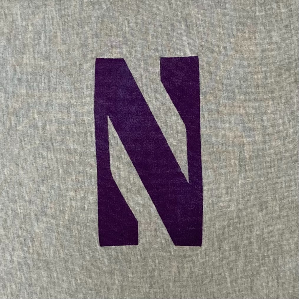 1246 『N』デカ文字 珍品 チャンピオン リバースウィーブ 80's