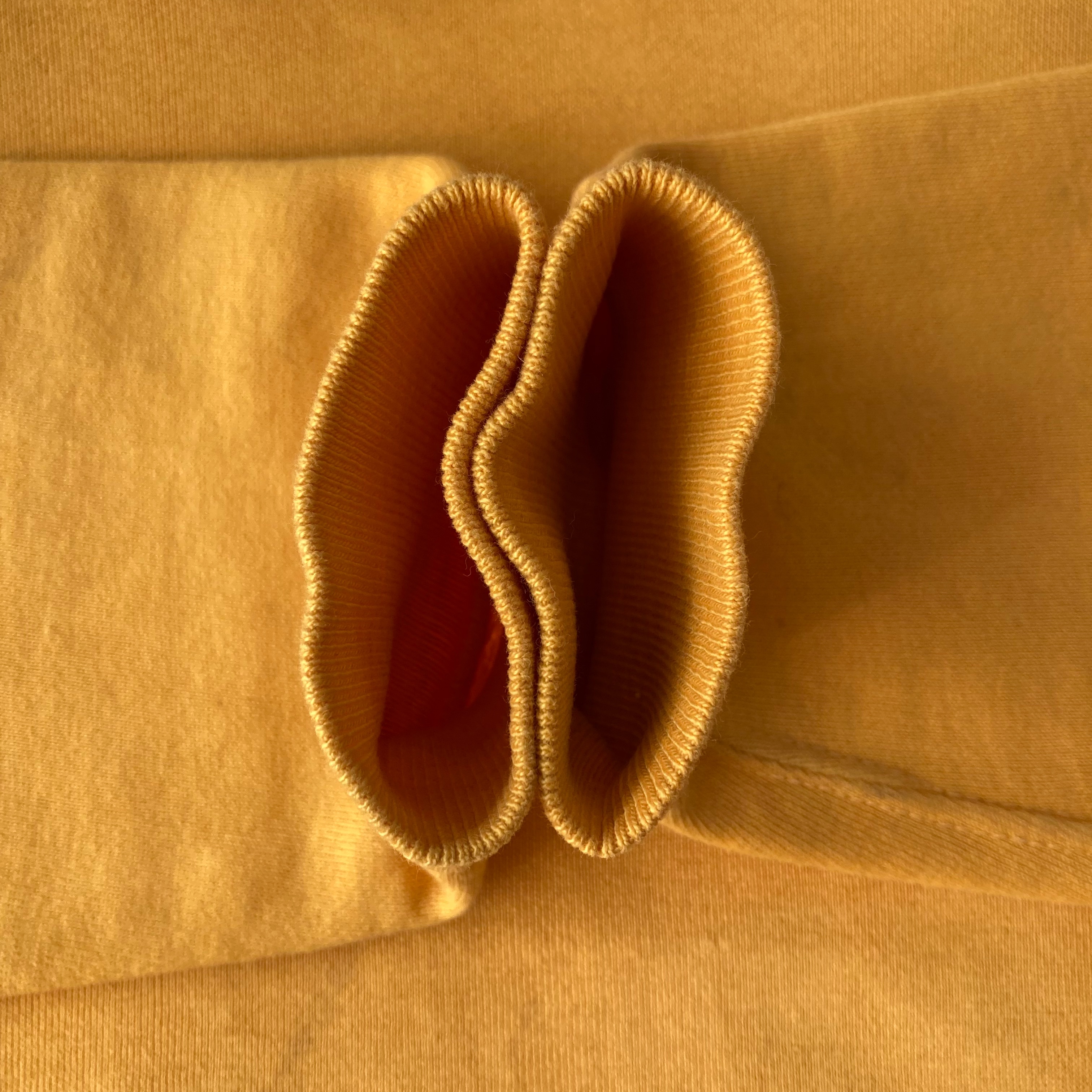 f:id:hanakichi116:20241112164355j:image