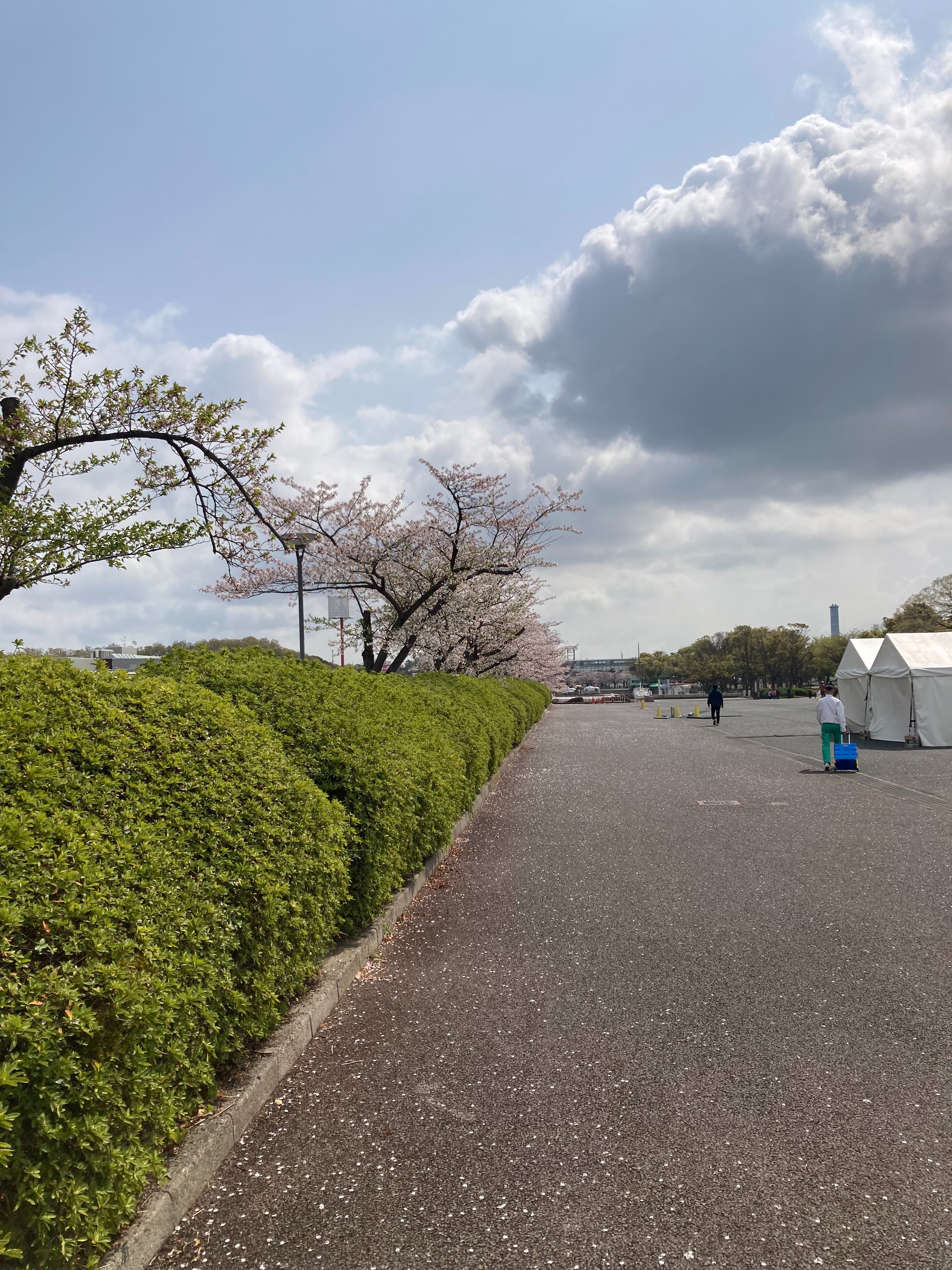 f:id:hanakichi116:20250411233936j:image