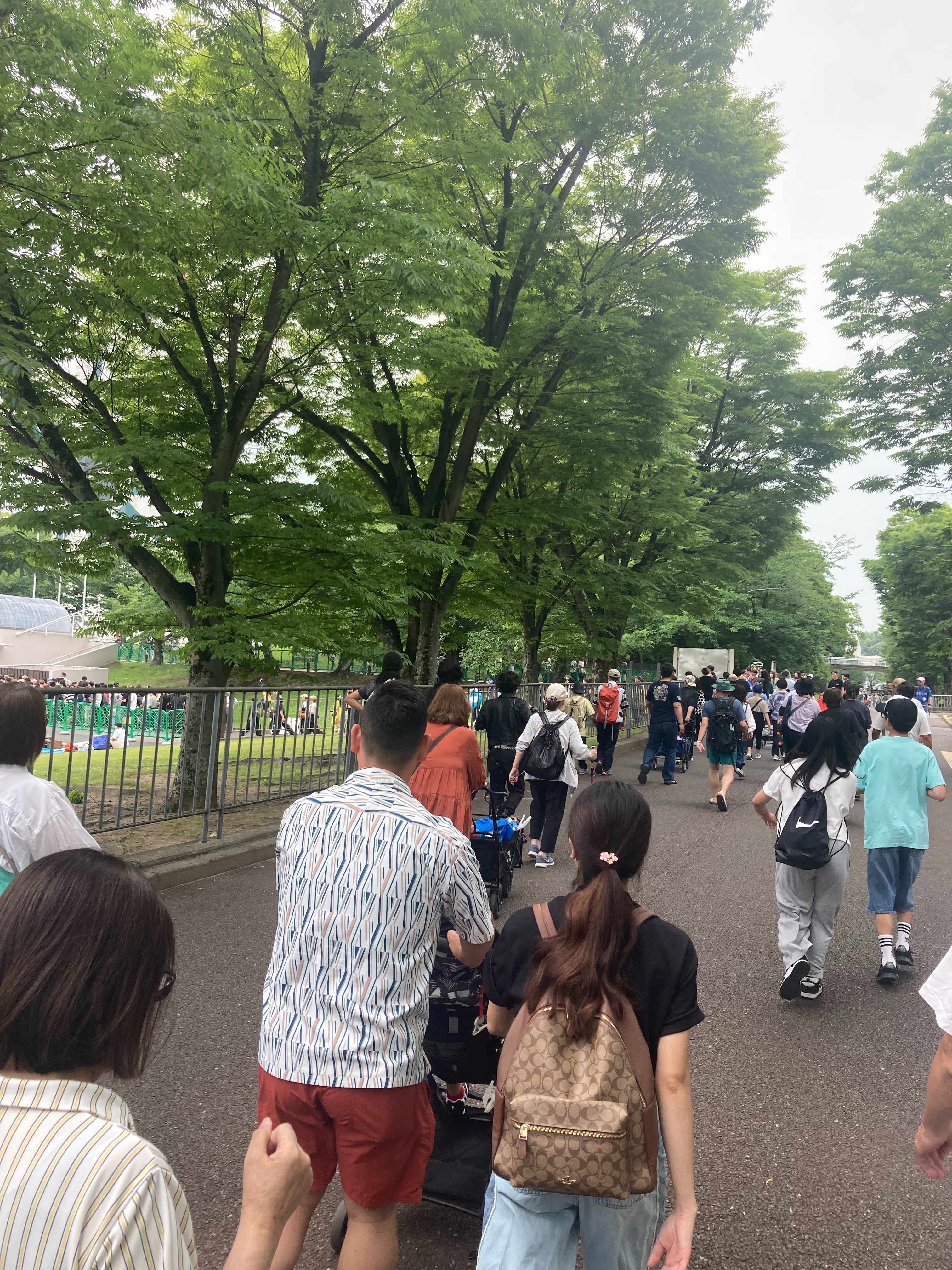 f:id:hanakichi116:20250609002308j:image