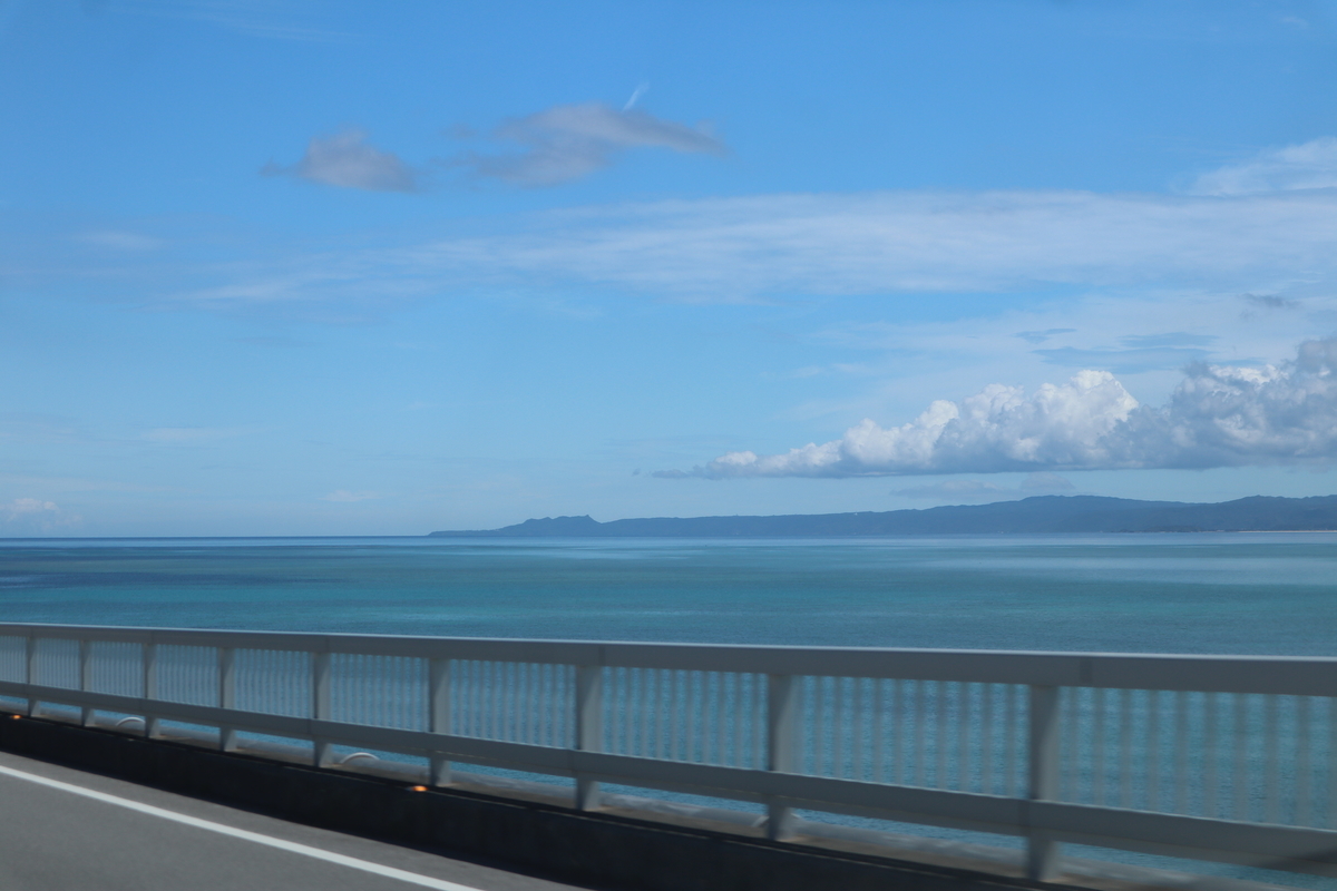f:id:hanako-nichijyo:20201110133342j:plain