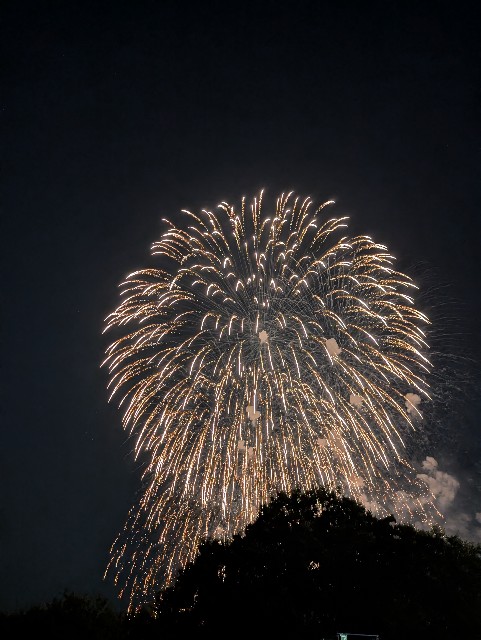 f:id:hanako1026:20250810130806j:image
