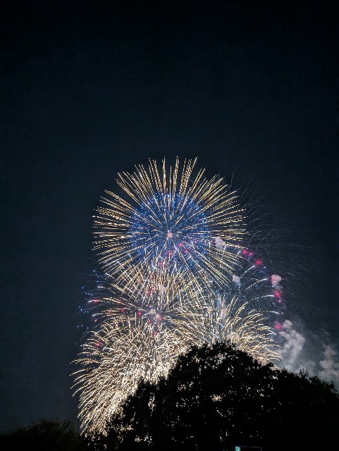 f:id:hanako1026:20250810130818j:image