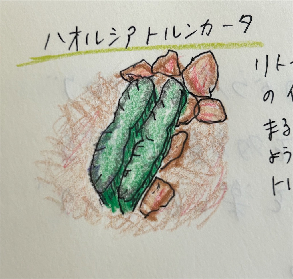 f:id:hanako86:20250728092412j:image