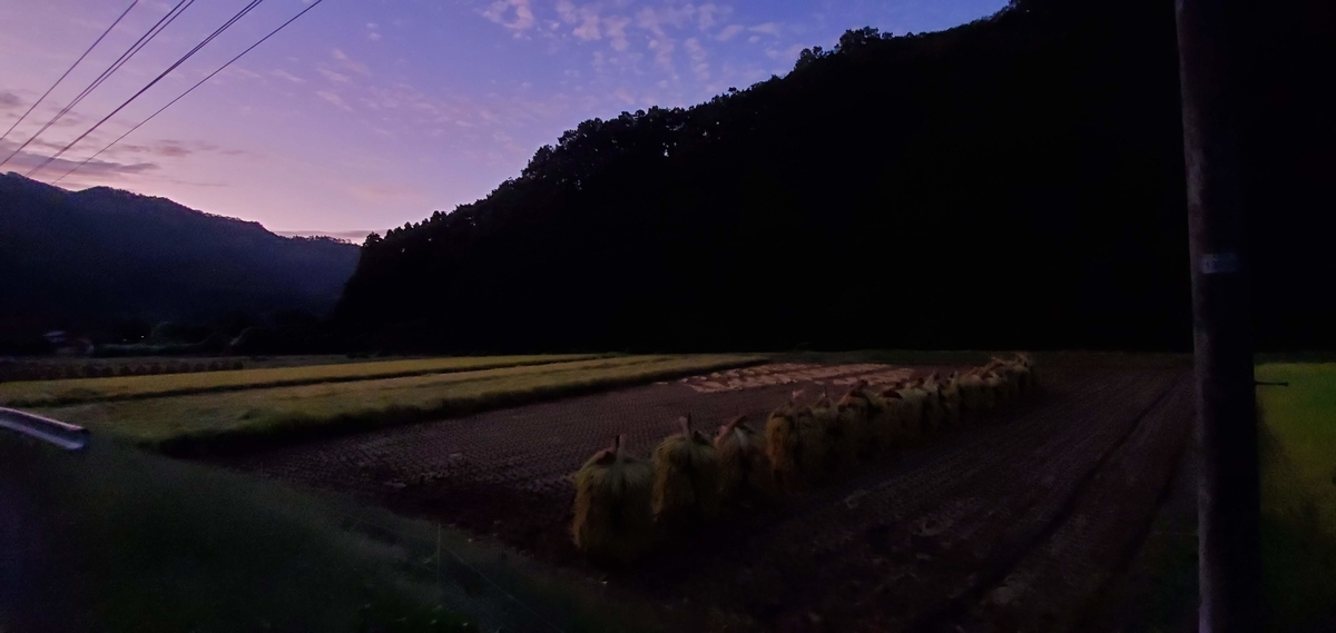 f:id:hanakobo:20191129155912j:plain f:id:hanakobo:20191129155912j:plain