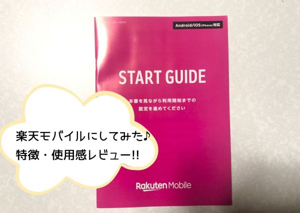 f:id:hanakonyanko:20210412001305j:plain