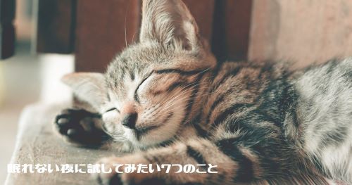 寝ている猫