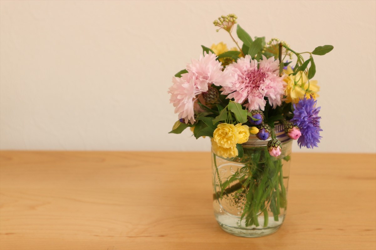 f:id:hanakura145:20210413110722j:plain
