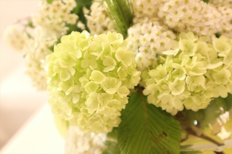 f:id:hanakura145:20210420134846j:plain