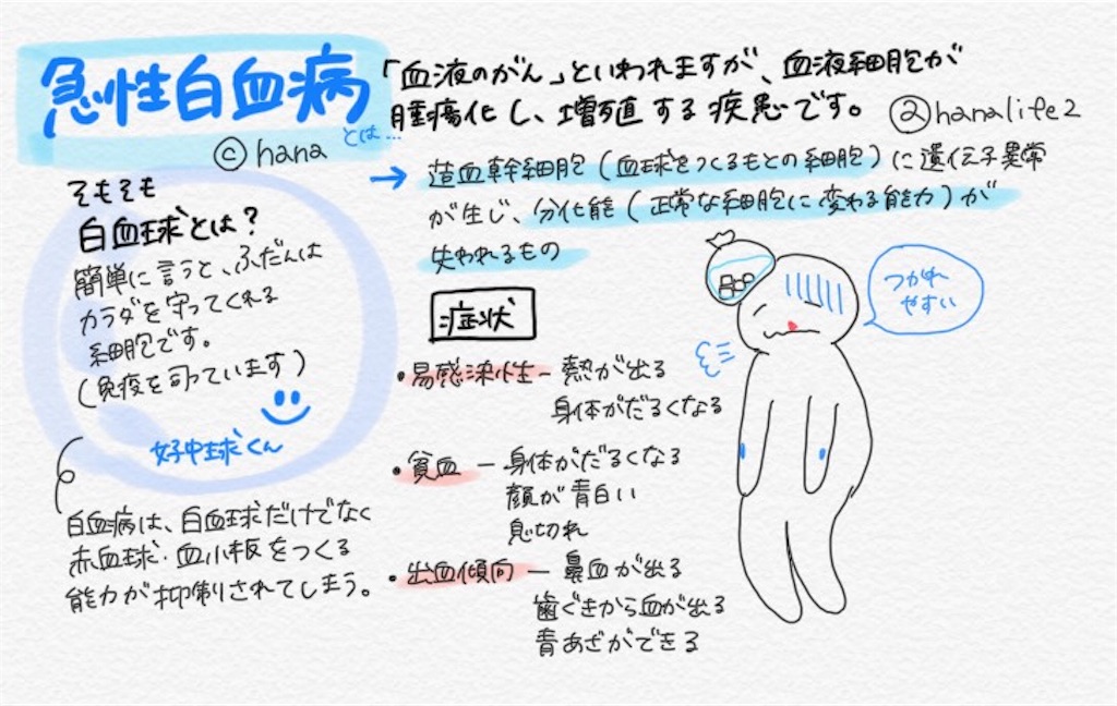 f:id:hanalife2:20190214022001j:image