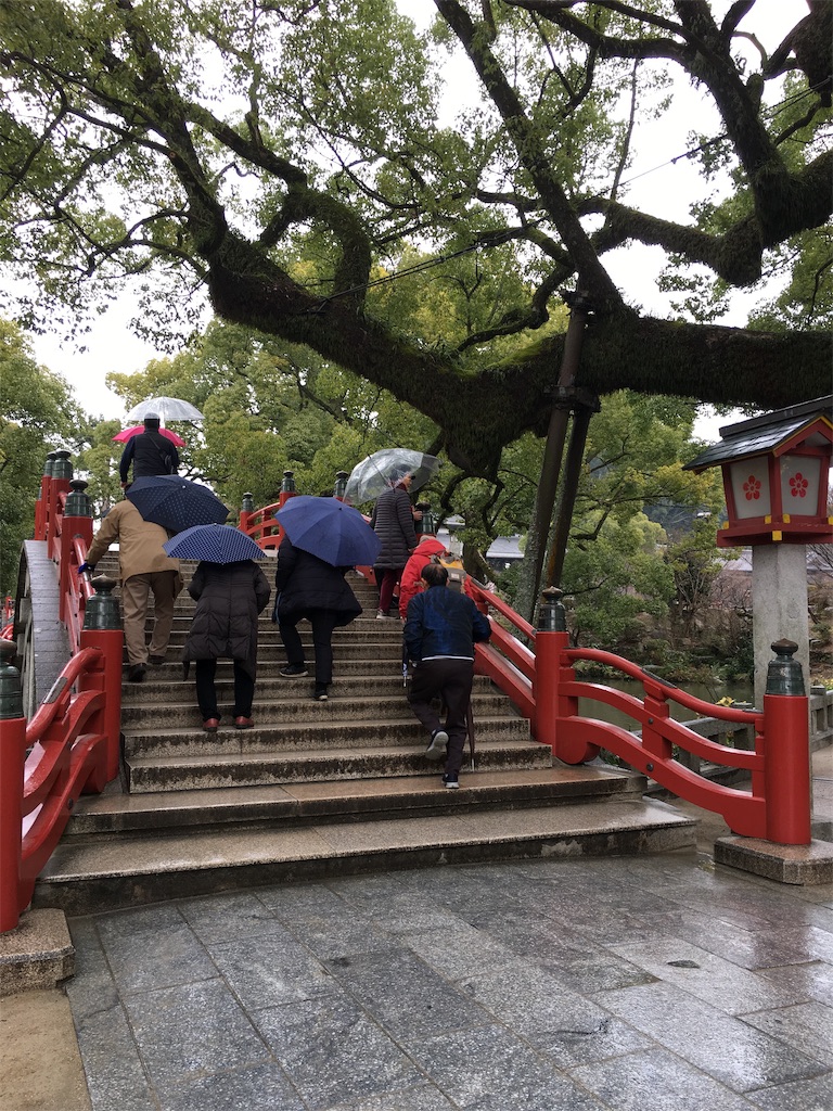 f:id:hanaloha87:20200228141441j:image f:id:hanaloha87:20200228141441j:image