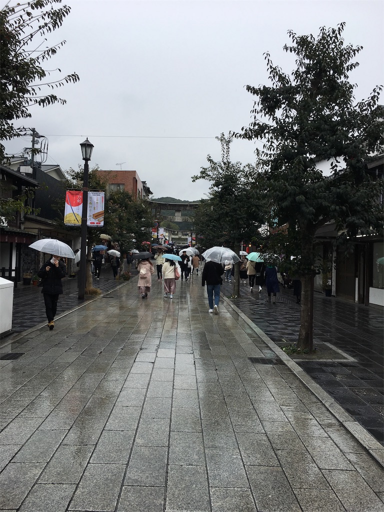 f:id:hanaloha87:20200228141509j:image f:id:hanaloha87:20200228141509j:image
