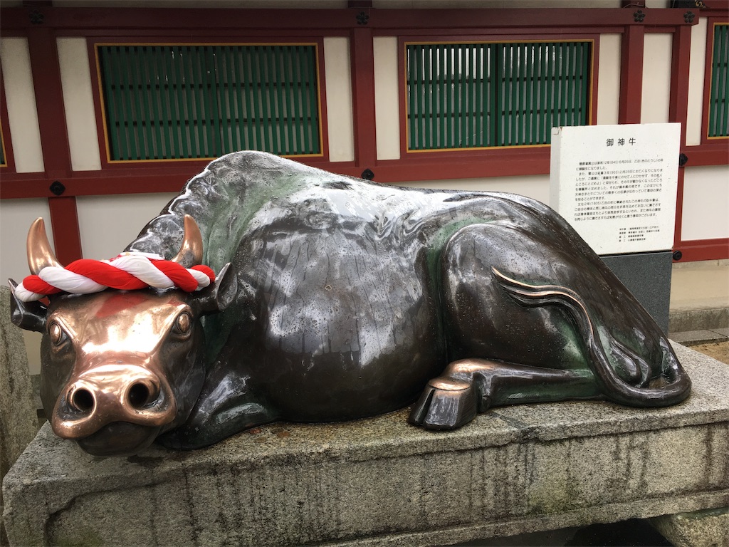 f:id:hanaloha87:20200228141516j:image f:id:hanaloha87:20200228141516j:image
