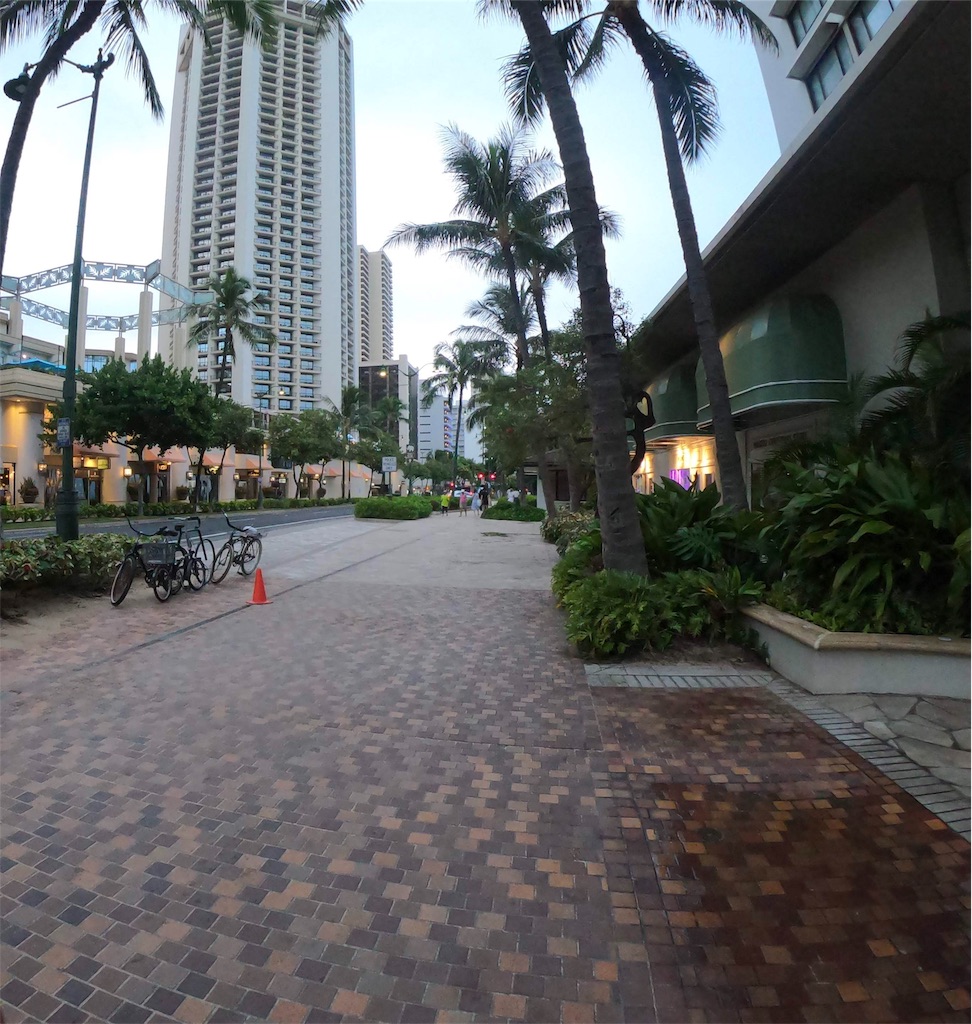 f:id:hanaloha87:20200502184459j:image