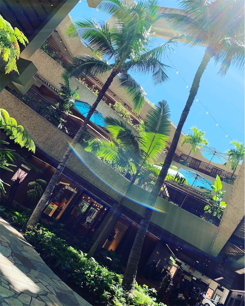 f:id:hanaloha87:20200502184538j:image