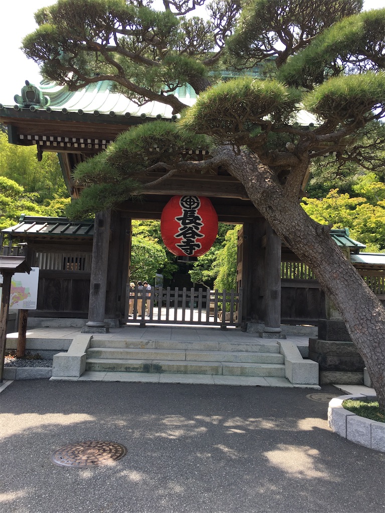 f:id:hanaloha87:20200613181513j:image f:id:hanaloha87:20200613181513j:image
