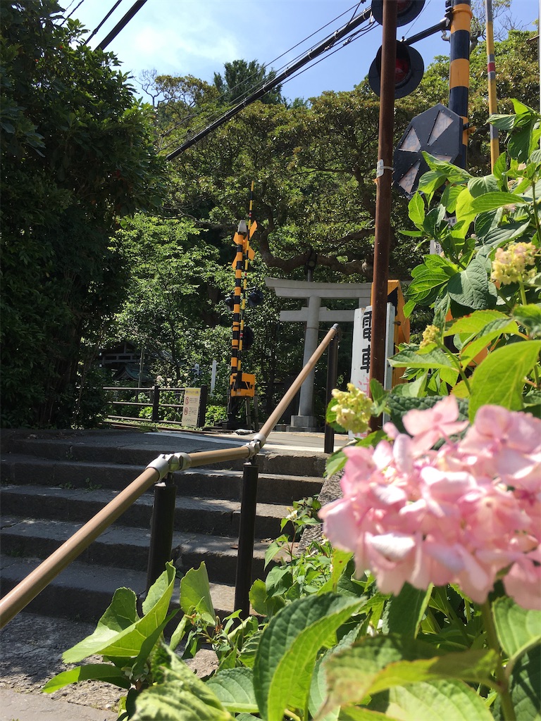 f:id:hanaloha87:20200617082144j:image f:id:hanaloha87:20200617082144j:image