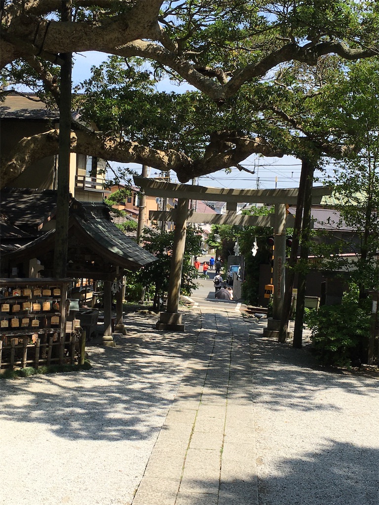 f:id:hanaloha87:20200617082152j:image f:id:hanaloha87:20200617082152j:image