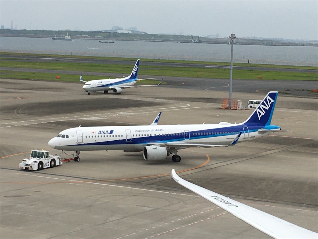 f:id:hanaloha87:20200721144437j:image f:id:hanaloha87:20200721144437j:image
