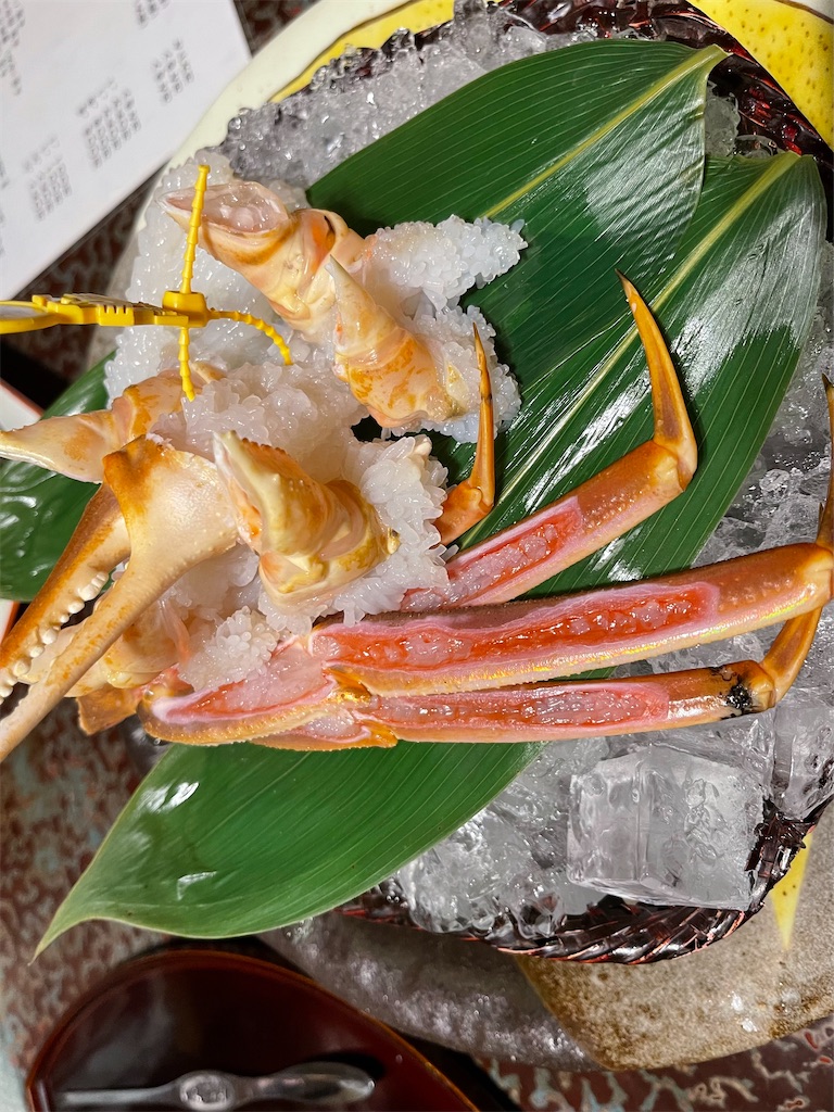 f:id:hanaloha87:20220206085751j:image